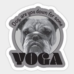 Dog, are you down for some yoga Sticker